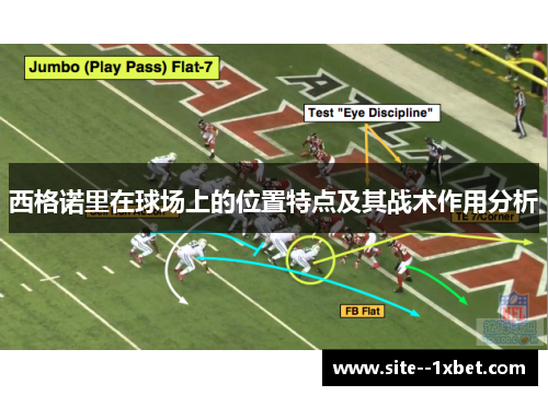 西格诺里在球场上的位置特点及其战术作用分析