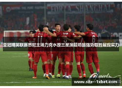 亚冠精英联赛悉尼主场力克水原三星澳超劲旅强势取胜展现实力 亚冠精英联赛悉尼主场力克水原三星澳超劲旅强势取胜展现实力