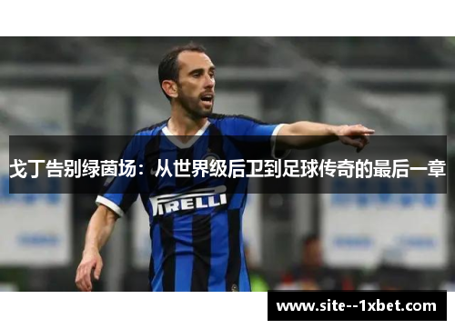 戈丁告别绿茵场:从世界级后卫到足球传奇的最后一章 戈丁告别绿茵场:从世界级后卫到足球传奇的最后一章