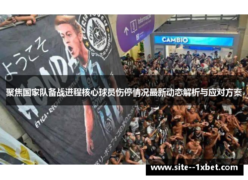 聚焦国家队备战进程核心球员伤停情况最新动态解析与应对方案